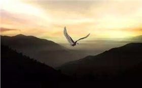 timg (1).jpg timg (1).jpg