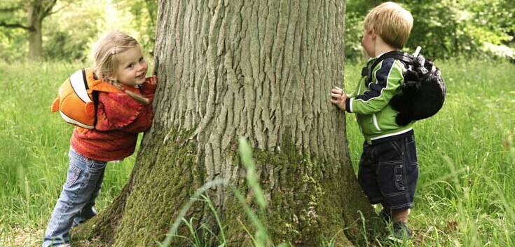 timg (2).jpg timg (2).jpg