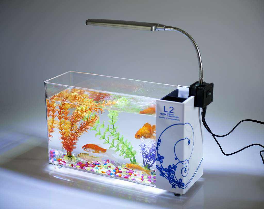 亞克力魚(yú)缸 亞克力魚(yú)缸