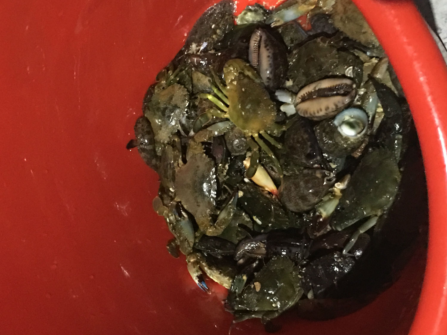 東莞市凱力克 東莞市凱力克